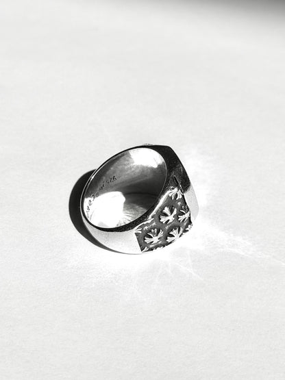 Dominion ring